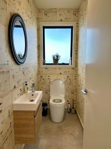 a bathroom with a toilet and a sink and a mirror at Coastal Luxe Villa in Kakanui +12 photos