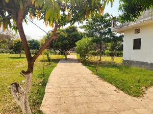 a brick path next to a tree next to a building at Nature Homestay in Varanasi