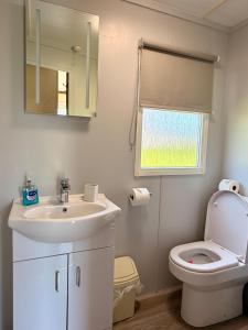 a bathroom with a sink and a toilet and a mirror at Simene cabin in Bridport