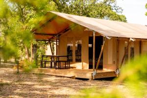 a small tent in a field with trees at Glamping Tent, Hike, Smore Vibes in Branson +11 photos