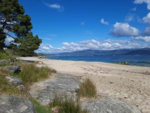 a sandy beach with trees and the ocean on a sunny day at Mar de Louro in Muros