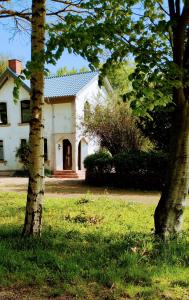 a white house with trees in front of it at Karakul Shepherd House in Tinglev