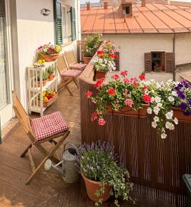 a balcony filled with lots of plants and flowers at Casa di Paola Spormaggiore in Spormaggiore +7 photos
