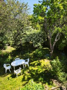 a table and chairs in a yard with trees at LES VOLETS BLEUS in Metz