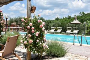 a bunch of roses on a pole next to a pool at Casa Jasmine by Lisetta in Migiana