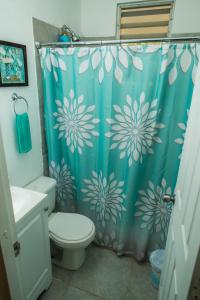 a bathroom with a blue shower curtain with a toilet at Tropical Getaway in Aguadilla