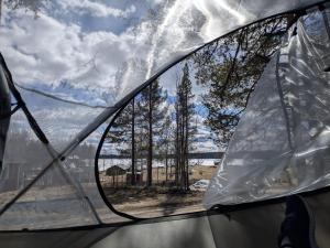 a view of the inside of a tent with a window at The special experience - Treetent in Arjeplog