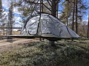 a tent on a tree in a field at The special experience - Treetent in Arjeplog +4 photos