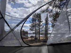 a view from inside a tent looking through a window at The special experience - Treetent in Arjeplog