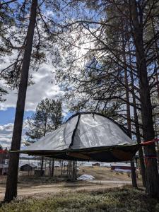 a tent is tied to two trees in a field at The special experience - Treetent in Arjeplog