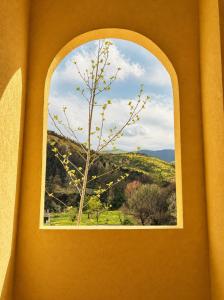ein Fenster mit Blick auf einen Baum und ein Feld in der Unterkunft Blue Mill Resort, Sarande in Mesopotam