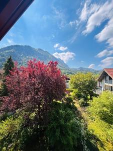 a view of a tree with mountains in the background at Staufen Blick in Piding +8 photos