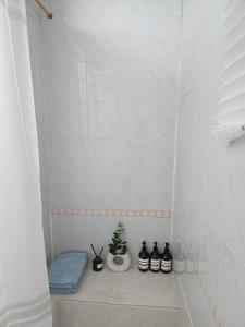 a bathroom with a shower with a potted plant at 홍쓰 오션뷰 in Hakch'ŏn-dong