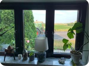 a window with a table with a lamp and plants at Sjörups Vera in Trelleborg