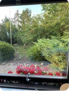 a view from a window of a garden with flowers at Sjörups Vera in Trelleborg