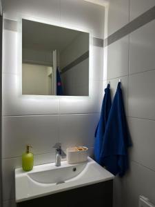 a bathroom with a white sink and a mirror at City Apartment in Lörrach