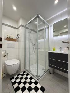 a bathroom with a shower and a toilet and a sink at City Apartment in Lörrach