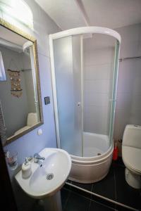 a bathroom with a shower and a sink and a toilet at Luxury Villa Medusa Temple in Kruševo +22 photos