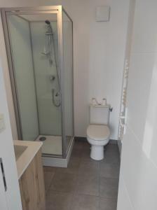 a bathroom with a shower and a toilet at Petite maison meublée in Landévant