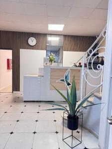 a potted plant sitting on a tiled floor in an office at COLIBRI in Calella