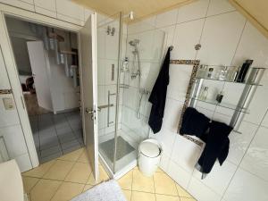 a bathroom with a shower and a toilet at An der Elbaue in Pirna +10 photos