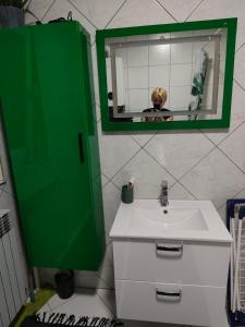 a bathroom with a green door and a sink at Apartman Gajnice Zagreb in Zagreb