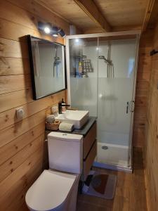a bathroom with a toilet and a sink and a shower at Le chalet caché, au pied des Chambarans in Saint-Siméon-de-Bressieux +41 photos