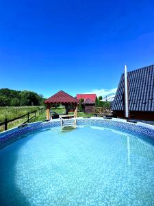 a large swimming pool with a chair in the middle at Сади Вітрів in Oriv