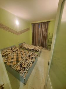 two beds in a room with green walls at old house ureki in Ureki