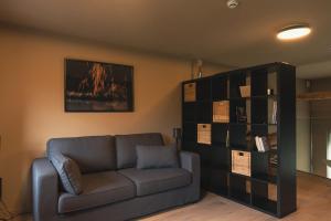 a living room with a couch and a book shelf at Stone Barn Menil Sauna & Nordic Bath in Ardennes in Hotton