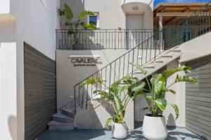 a staircase in a house with two potted plants at Cavaliere Seafront House - Thalia in Sami