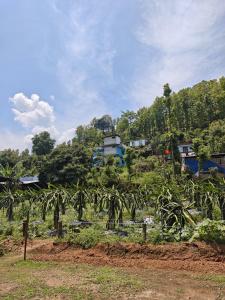 a group of houses on a hill with palm trees at Gatlang Backpackers in Trisūli Bāzār