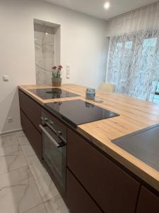 a kitchen with a sink and a counter top at Romantiksuite Euskirchen in Euskirchen