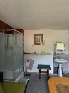 a bathroom with a shower and a sink at Privatzimmer in Trieben