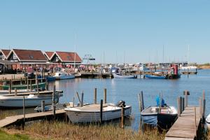 a group of boats docked at a marina at Bork Cozy Cottage in Hemmet