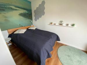 a bedroom with a bed and a green rug at Apartment Luise in Friedrichskoog-Spitze
