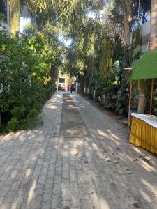 a cobblestone street with trees on the side at grand oceana resort in Covelong