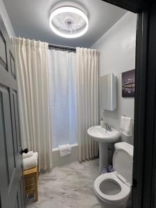 a bathroom with a toilet and a sink at Midtown Detroit Upper Retreat in Detroit +14 photos