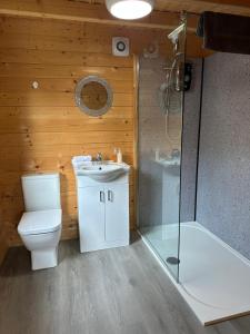 a bathroom with a toilet and a sink and a shower at Greenwood Chalet in Ottershaw