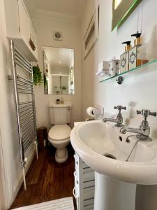 a white bathroom with a toilet and a sink at Elmsleigh in Marhamchurch +33 photos