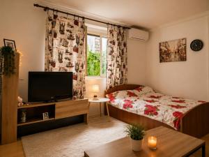 a small room with a bed and a television at Apartman Mediteran in Herceg-Novi