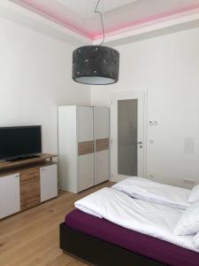a bedroom with a bed and a flat screen tv at Tayfun-Living in Vienna