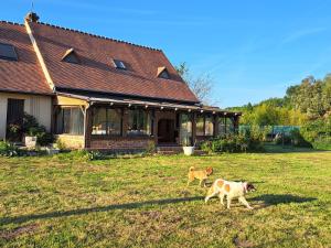 two dogs walking in a yard in front of a house at Escapade bucolique calme et nature in Saint-Léger-aux-Bois