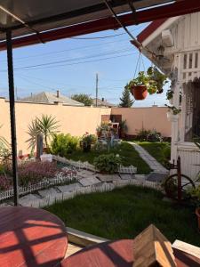 a backyard with a garden and a patio at Casa Alexander in Sulina