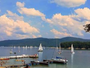 a group of boats on a lake with a bunch of sailboats at Noclegi Renata in Solina