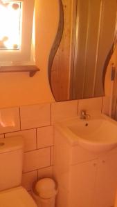 a bathroom with a sink and a toilet and a mirror at Noclegi Renata in Solina