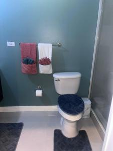 a bathroom with a toilet with a shower and towels at Palistic Paradise luxury private jacuzzi in Portmore
