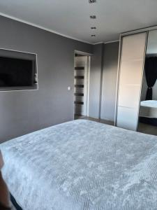 a bedroom with a large bed and a flat screen tv at Melnragė in Melnragė