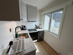 a small kitchen with a sink and a window at Hofslund Apartments in Sogndal