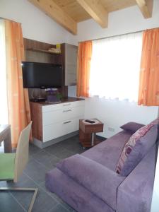 ein Wohnzimmer mit einem lila Sofa und einem Flachbild-TV in der Unterkunft Haus Kölch in Lackenhof